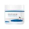 Round Lab Увлажняющий крем с берёзовым соком Birch Juice Moisturizing Cream, 80 мл