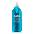 CP-1 Охлаждающий шампунь с мятой Head Spa Cool Mint Shampoo, 500 мл